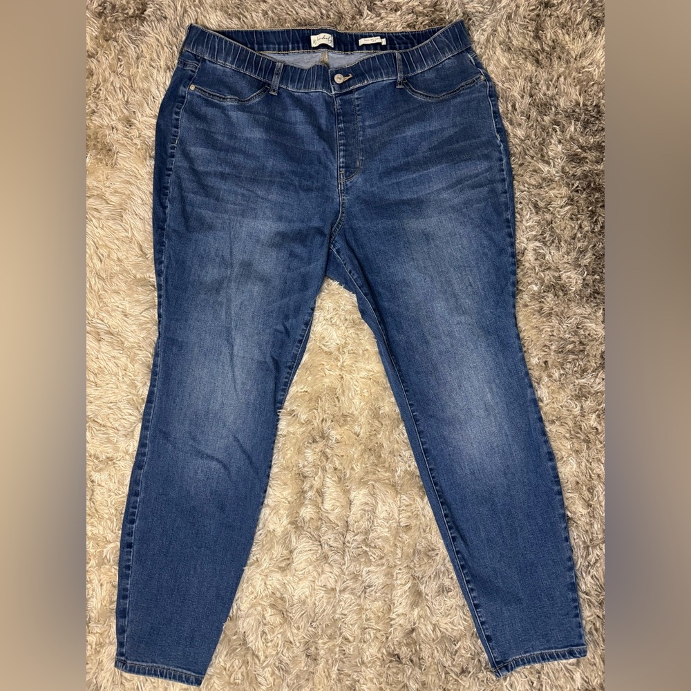 Wonderly Women’s Dark Blue Denim Plus Size Jeggings 20W